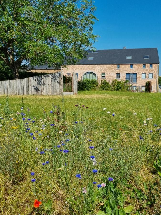 Cerf, Ouvre-Moi B&B Rochefort Eksteriør billede
